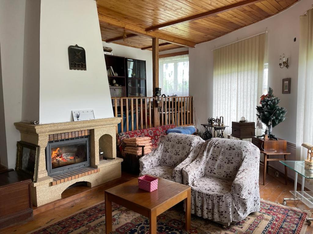 فيلا Casa Adelina Valea Lunga-Cricov المظهر الخارجي الصورة