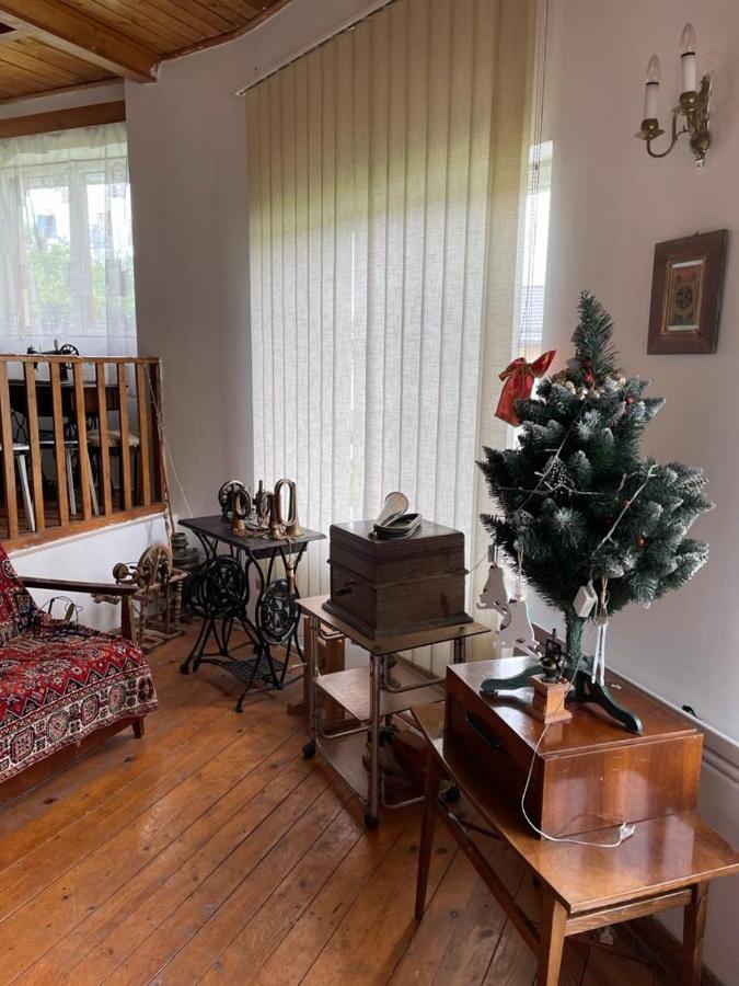 فيلا Casa Adelina Valea Lunga-Cricov المظهر الخارجي الصورة