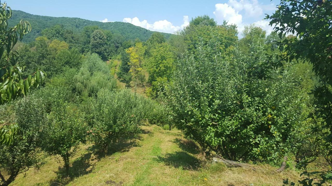 فيلا Casa Adelina Valea Lunga-Cricov المظهر الخارجي الصورة